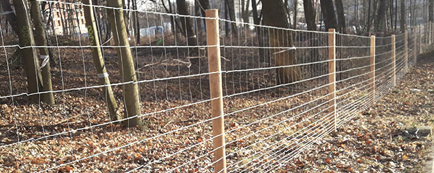 Płociarze.pl | solidne, praktyczne i estetyczne ogrodzeie | 792 331 828